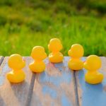 Leadershipul nu înseamnă să ai toate răspunsurile, ci să știi să pui întrebările potrivite