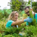 Găsește plantele perfecte pentru un gazon sănătos