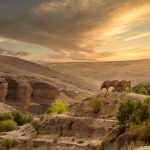 7 experiențe unice de trăit în Maroc, de la souk-uri la deșert
