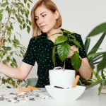 Ce plante muți, tai sau protejezi înainte de schimbarea vremii