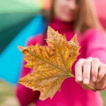 Cum să transformi schimbarea anotimpurilor într-un motiv pentru un nou început